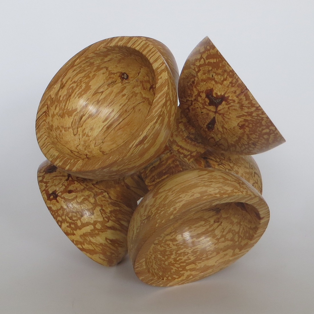 6 kelken (beuk met slaap)