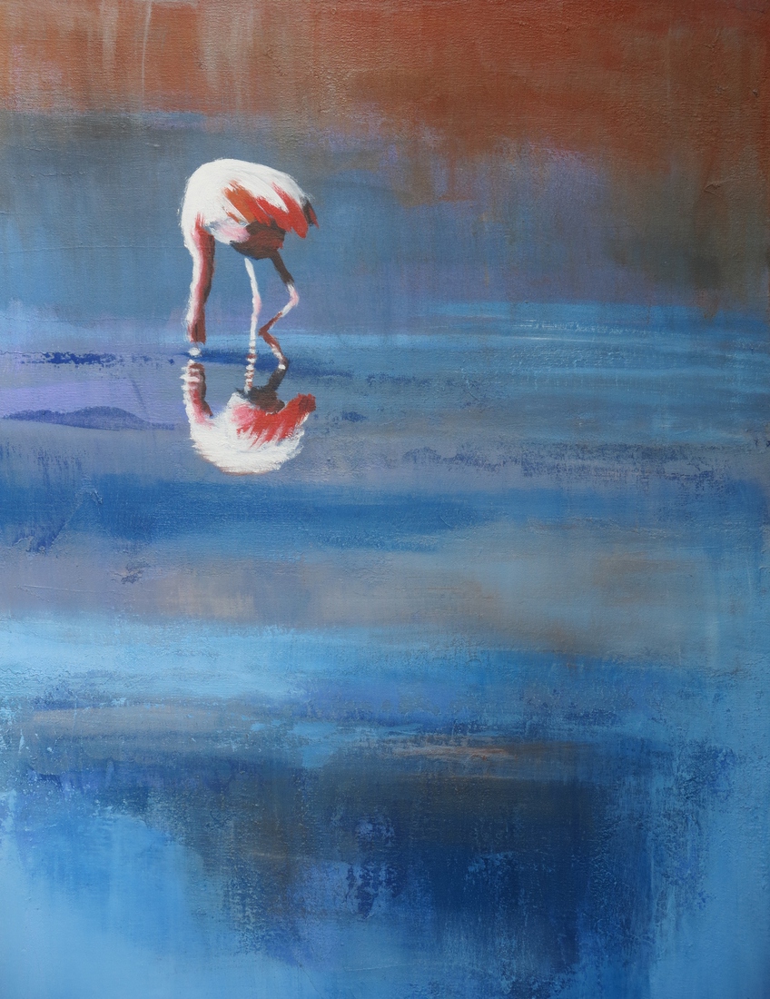 flamingo als struisvogel