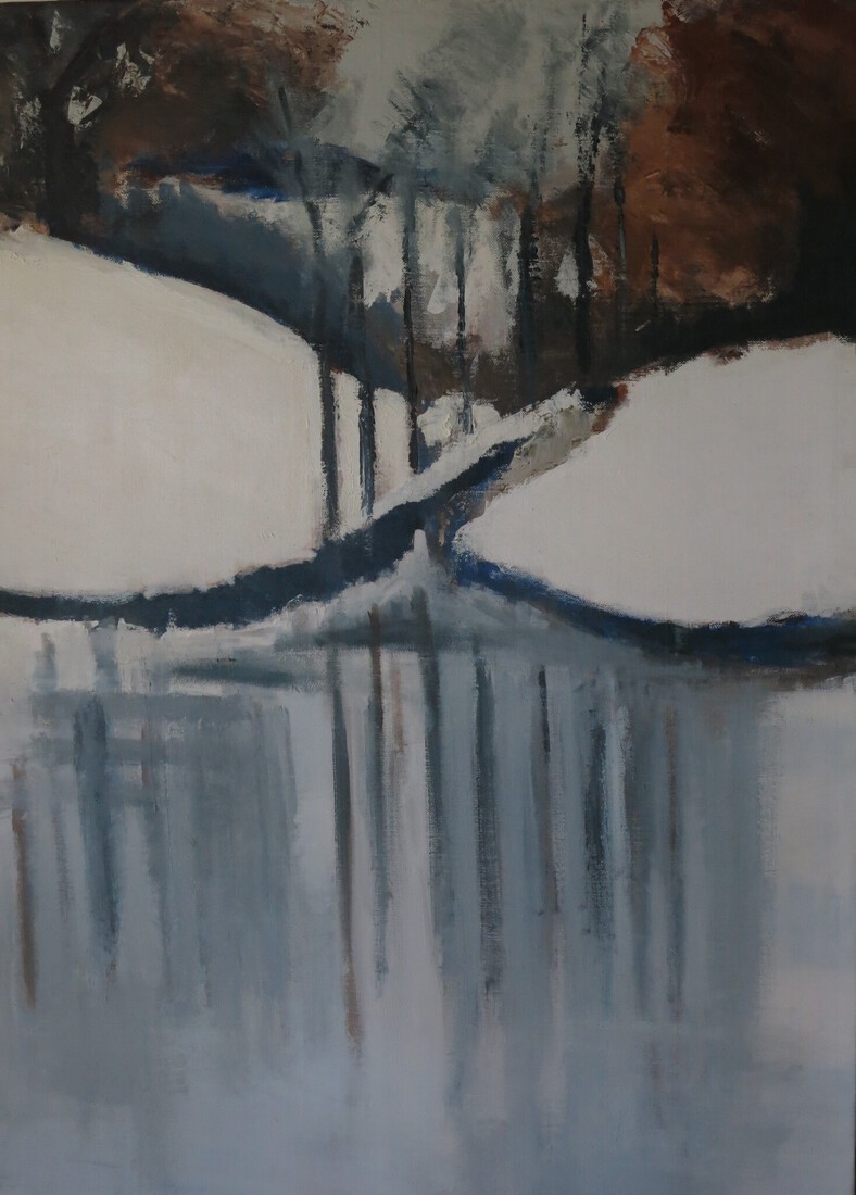 Spiegelend sneeuwlandschap