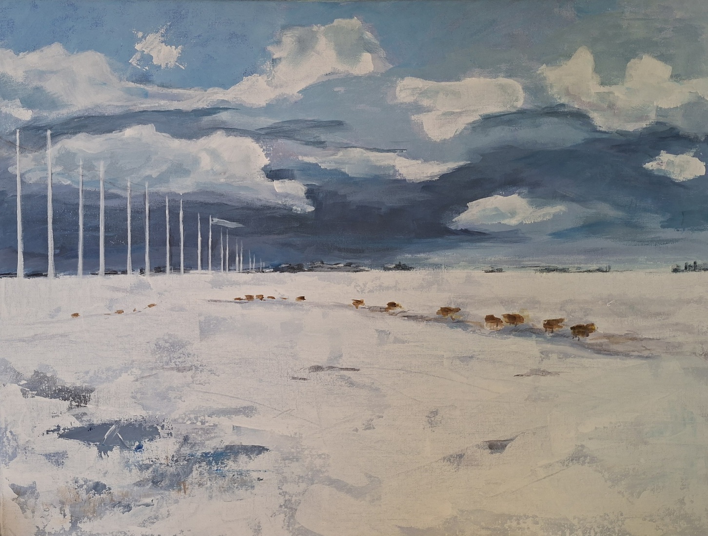 Sneeuwpolder