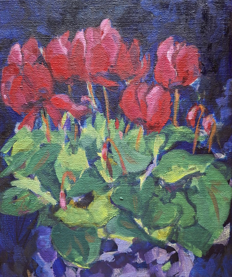 Cyclamen