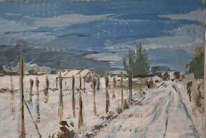 Landschap winter