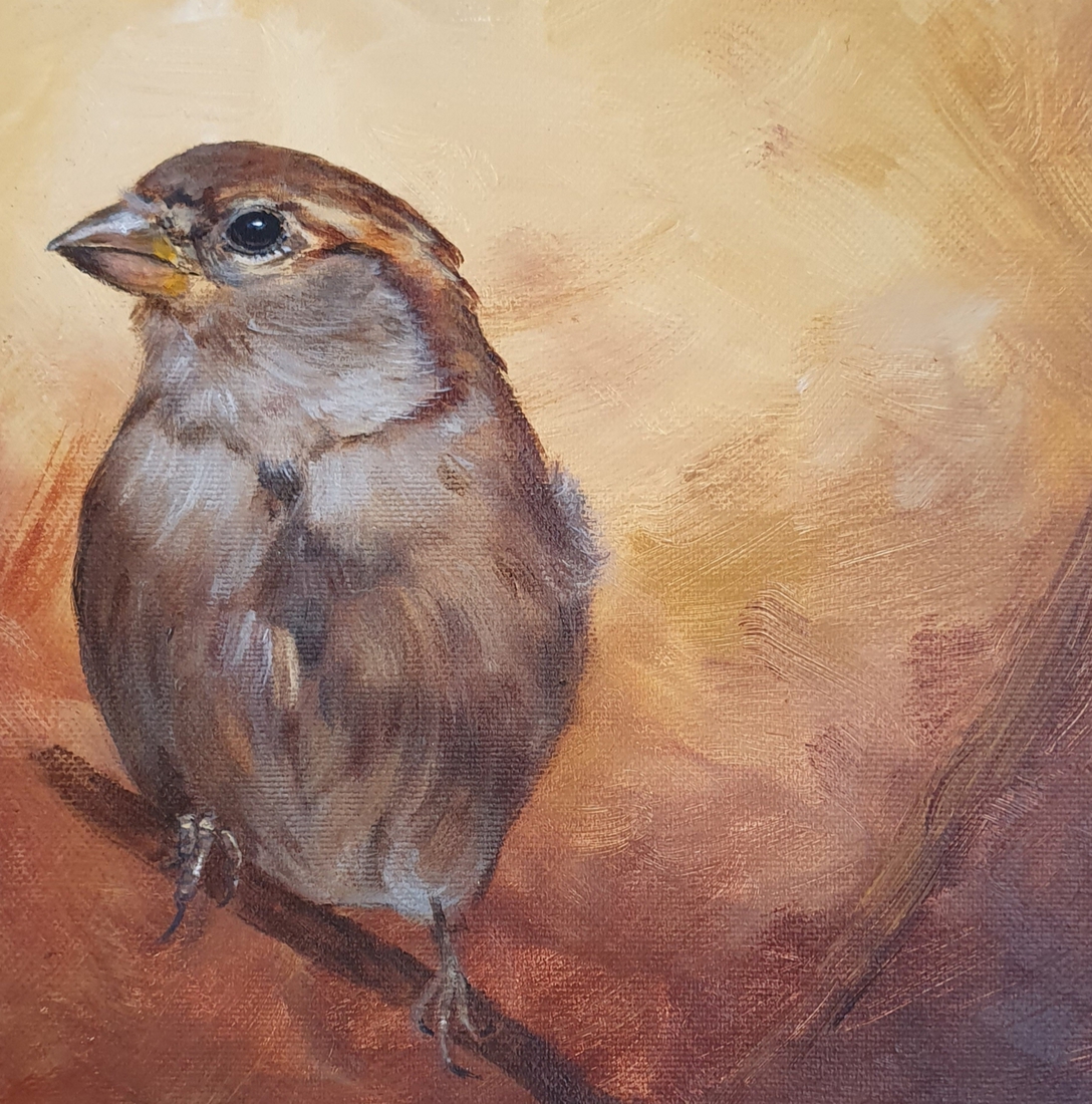 Mrs. Sparrow (Huismus 49)