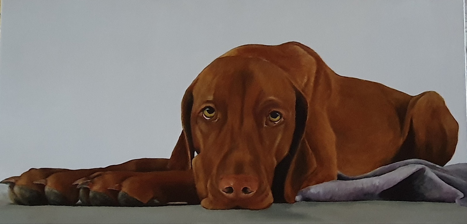 Atlas