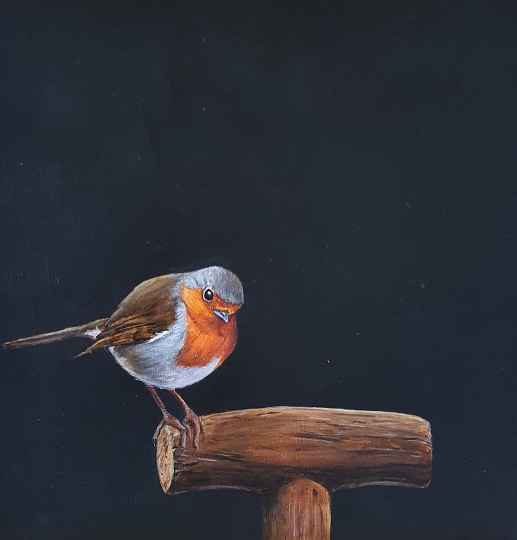 Roodborstje op handvat schep