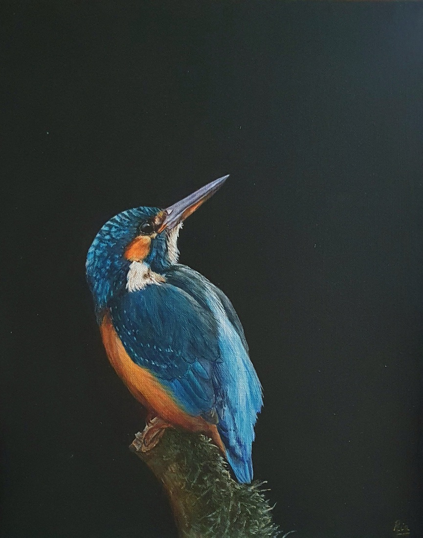 IJsvogel 7