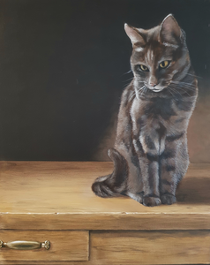 Portretten van (huis)dieren in de stijl warm realisme