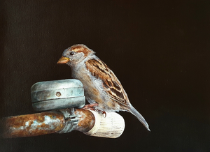 Vogelportretten, stijl =  warm realisme stijl