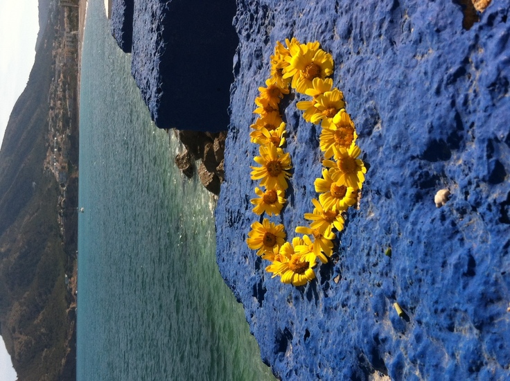 hart van gele bloemen in Benidorm