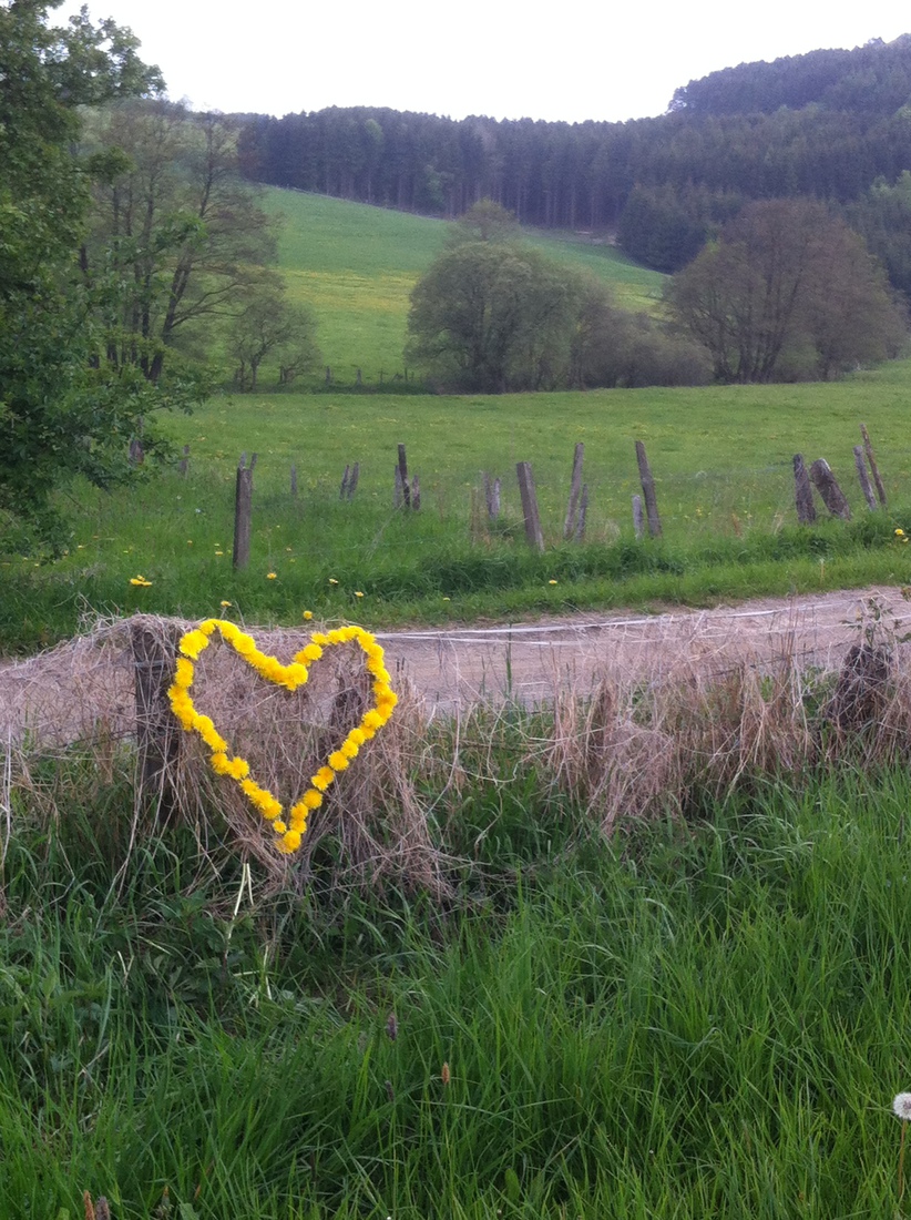 Hart van paardebloemen in Willingen Duitsland