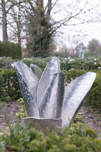 Diverse bloemen met verschillende bewerkingen en afmetingen