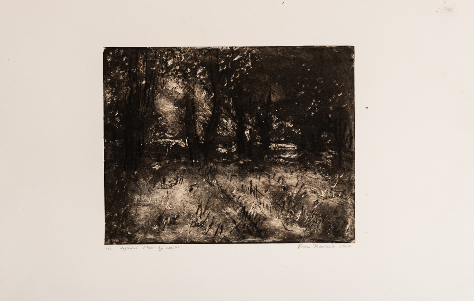 Wijchen's meer bij nacht