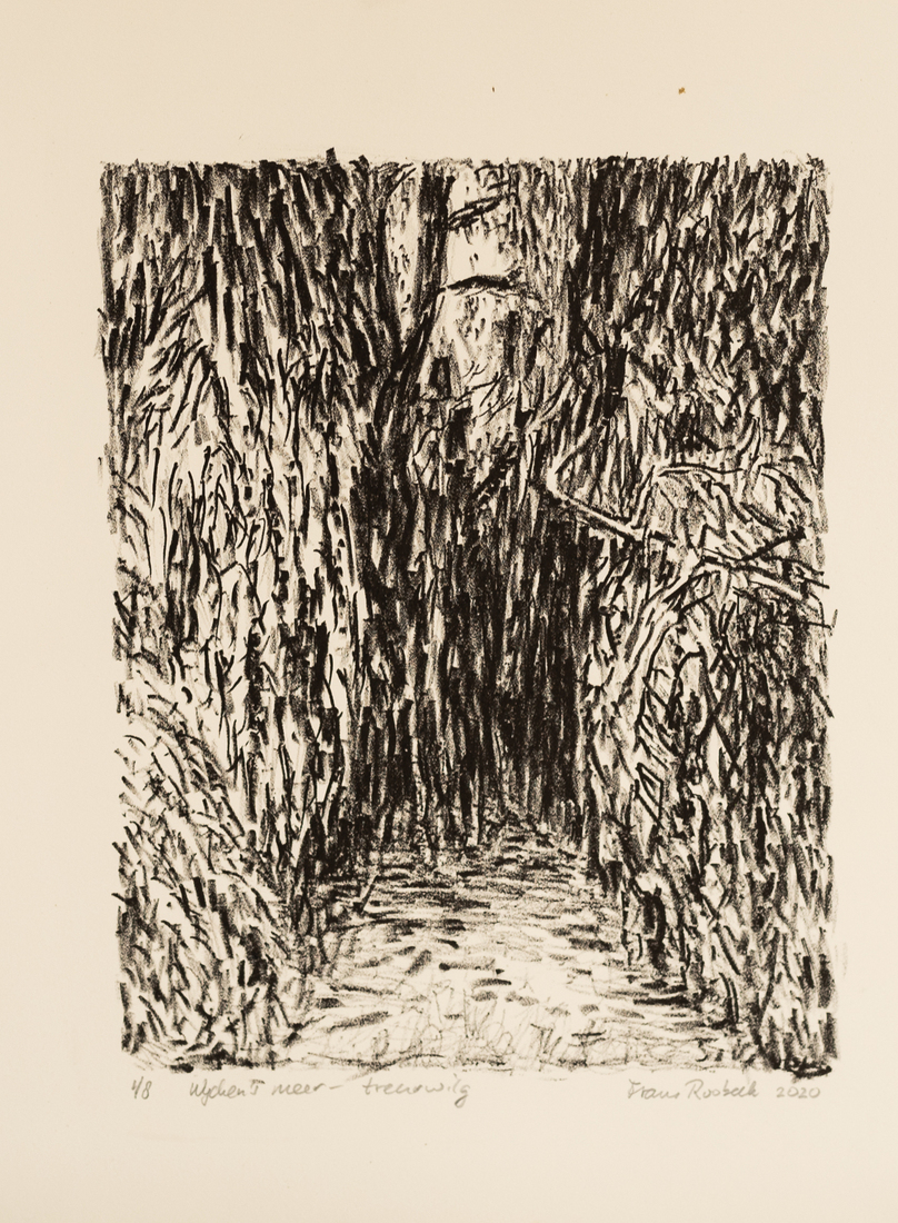 Wijchen's meer - Treurwilg