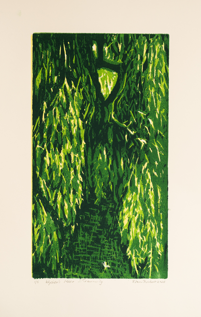 Wijchen's meer - Treurwilg