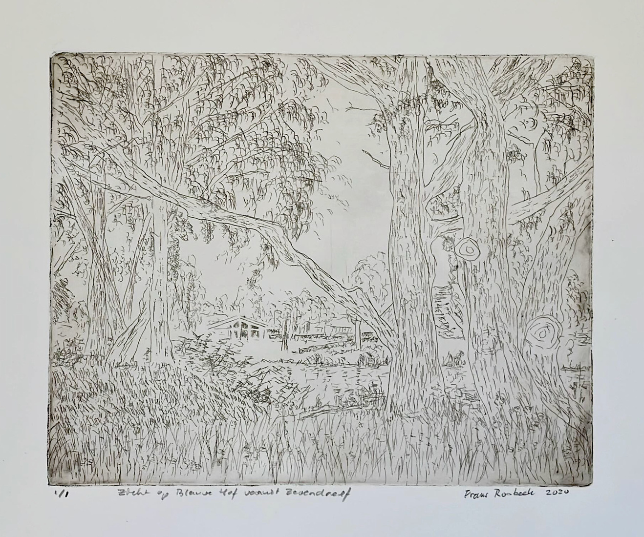 Zicht op Blauwe Hof, vanaf Zevendreef