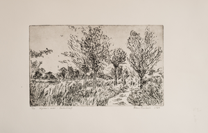 In 2020 komt de inspiratie voor veel werk van dicht bij huis. Dagelijkse wandelingen rondom het Wijchen's meer lieten me zien hoe mooi het was, mooier dan ooit.