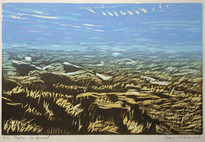 Landschappen in diverse grafische technieken
