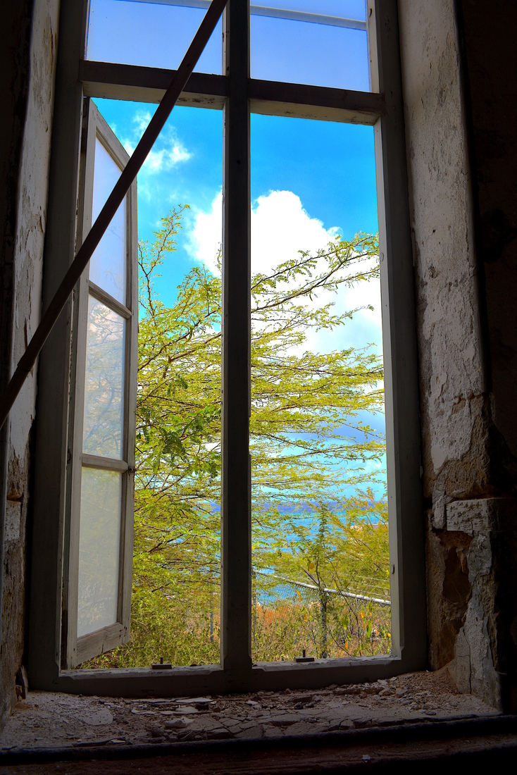 Window to the Outside World