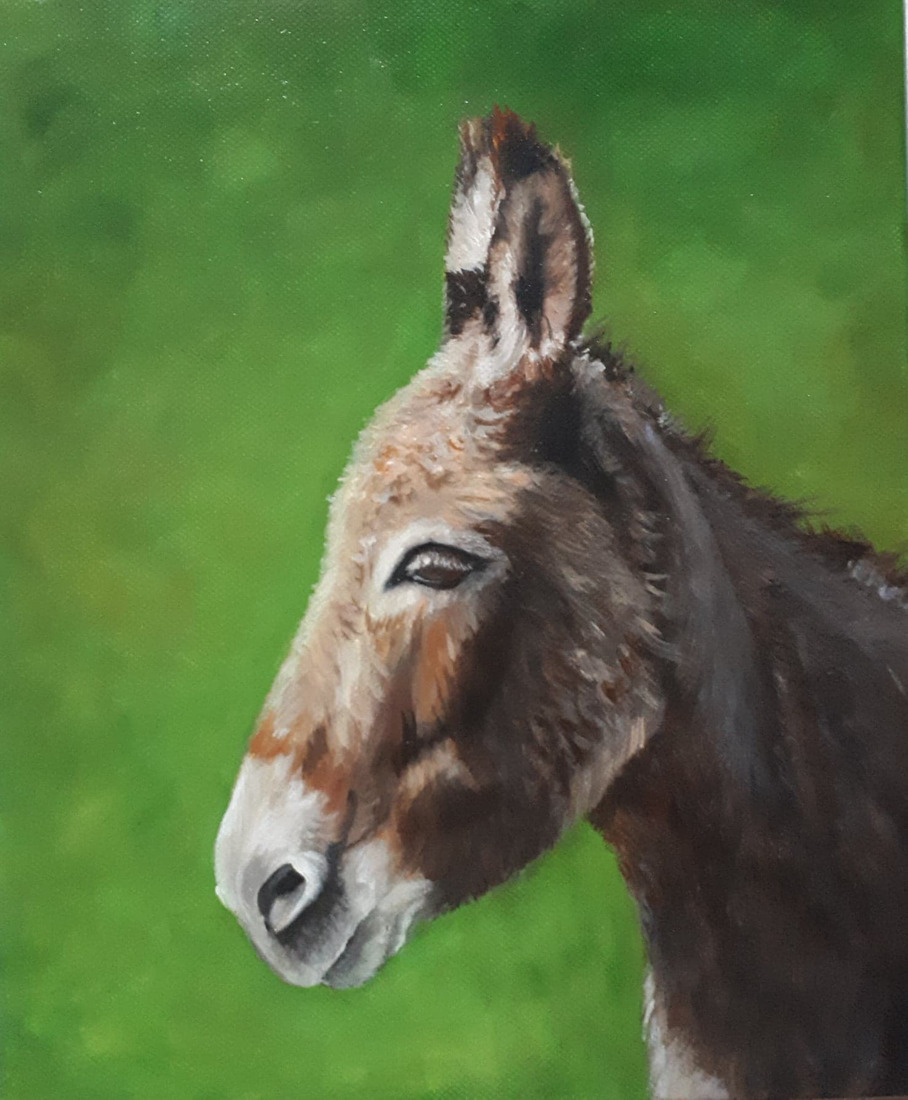 Ezeltje in de Ardennen