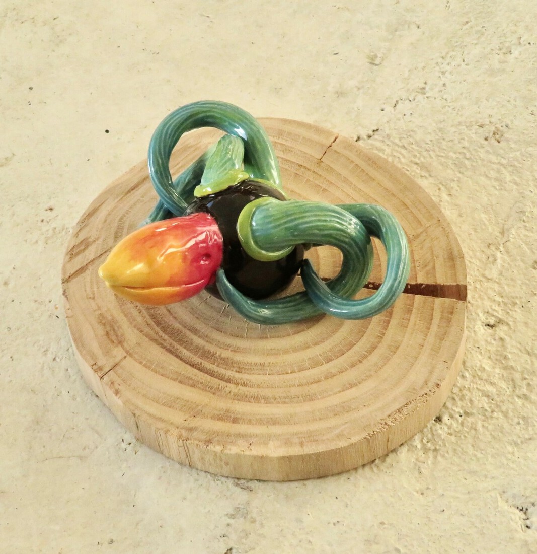 Mini 4 hoorn geel rode snavel