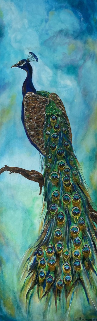 Pauw, peacock