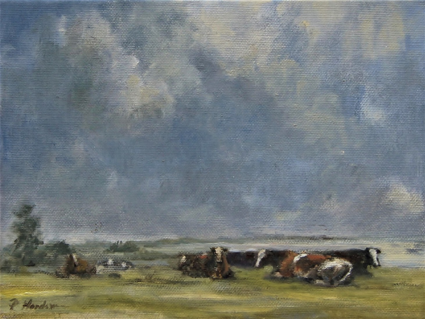 Resting cows, olieverf studie 