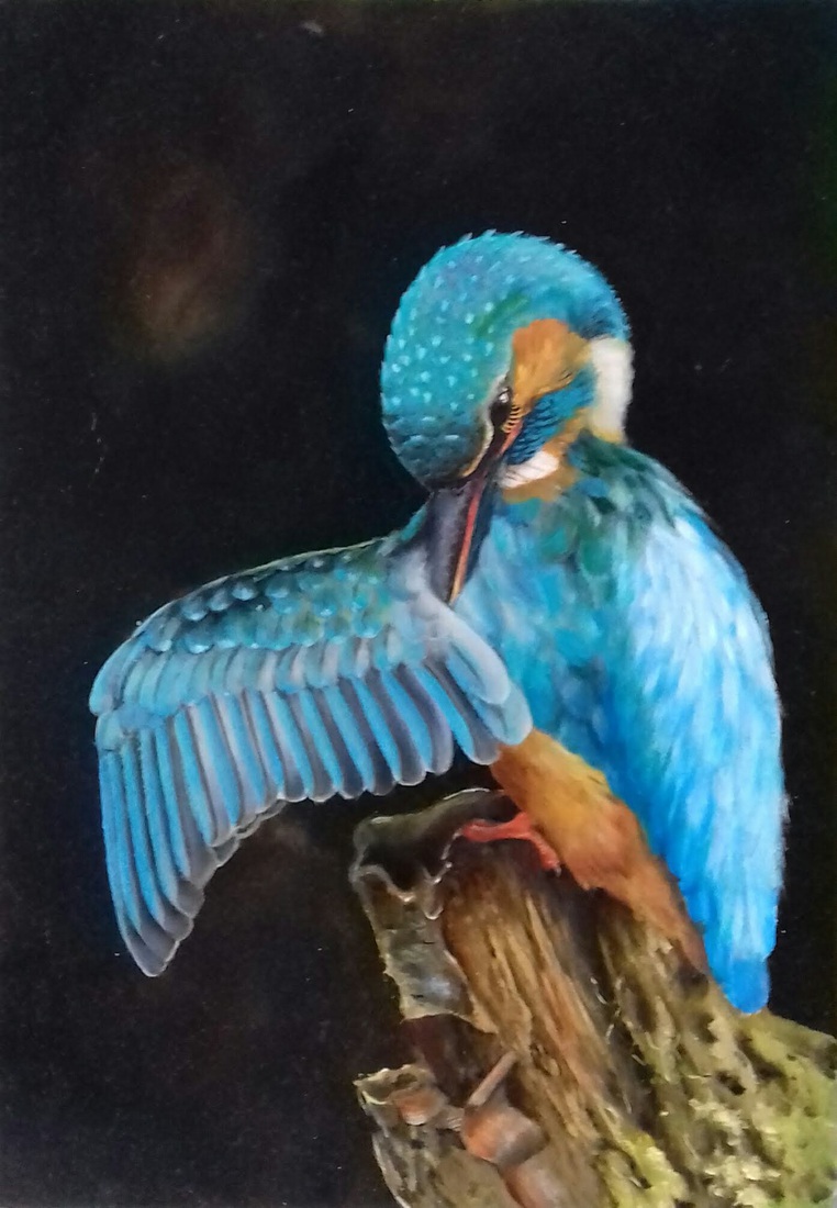 Kingfisher