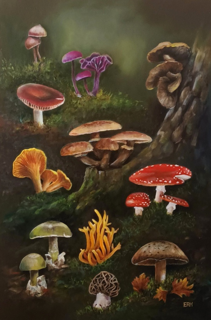Mushrooms