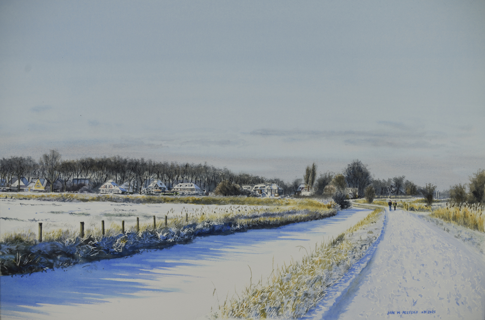 Bossche Broek in de winter