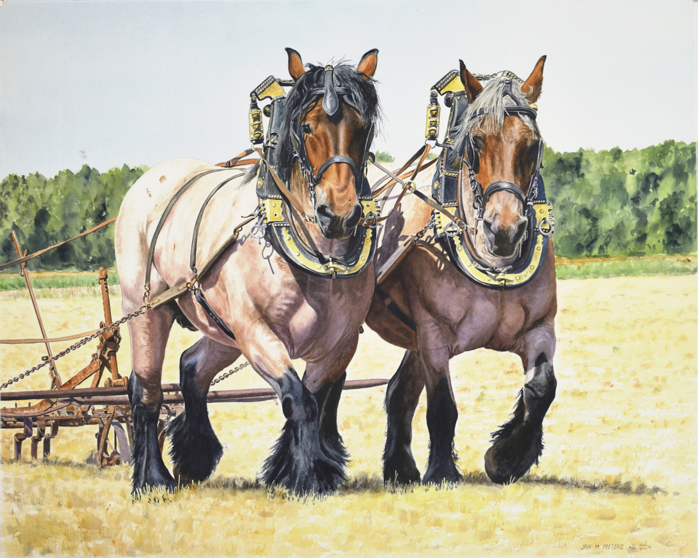Nina and Helena (Brabant Draft Horses)