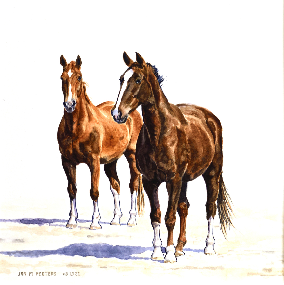 Dandewijn and Kandewijn