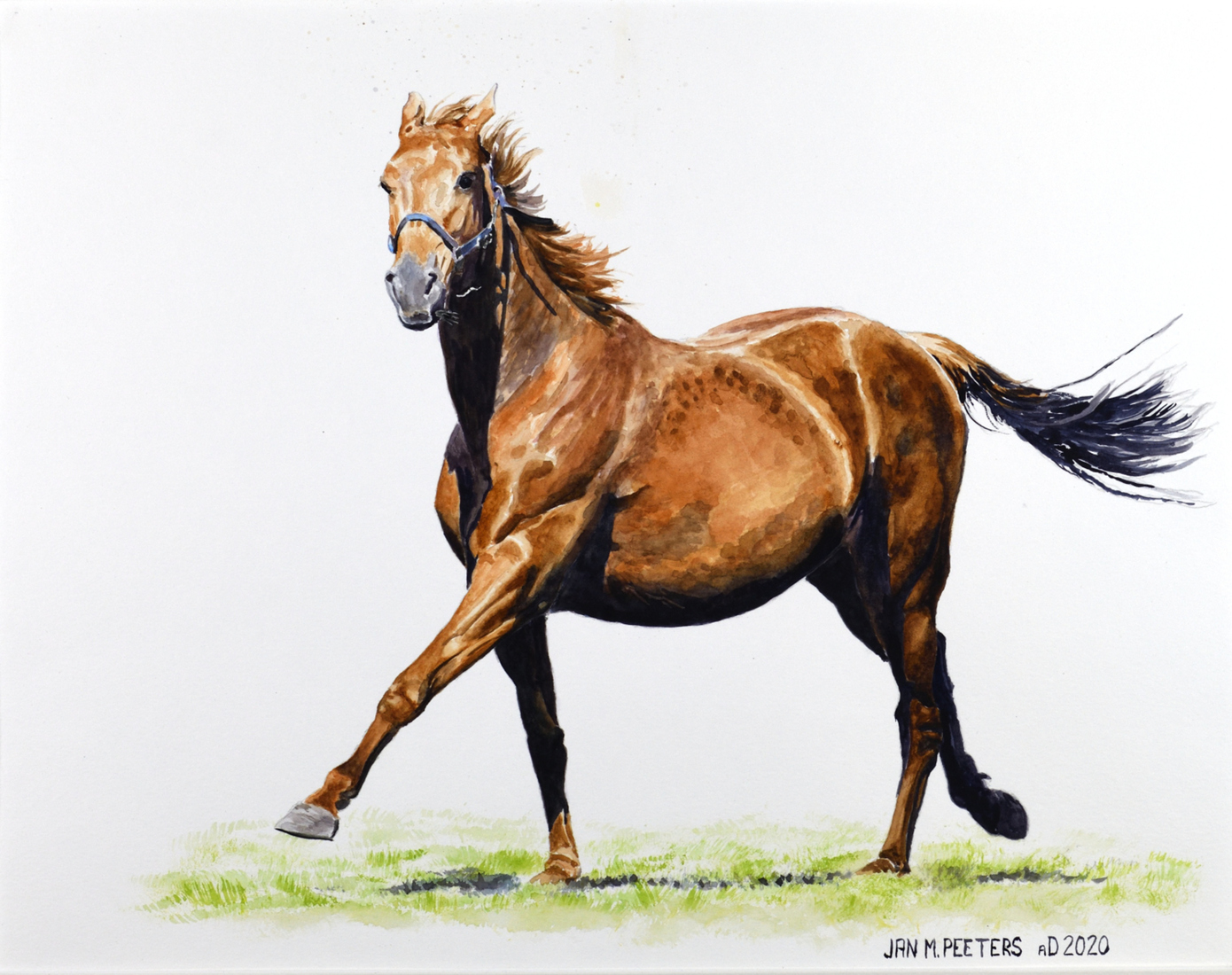 Merry mare