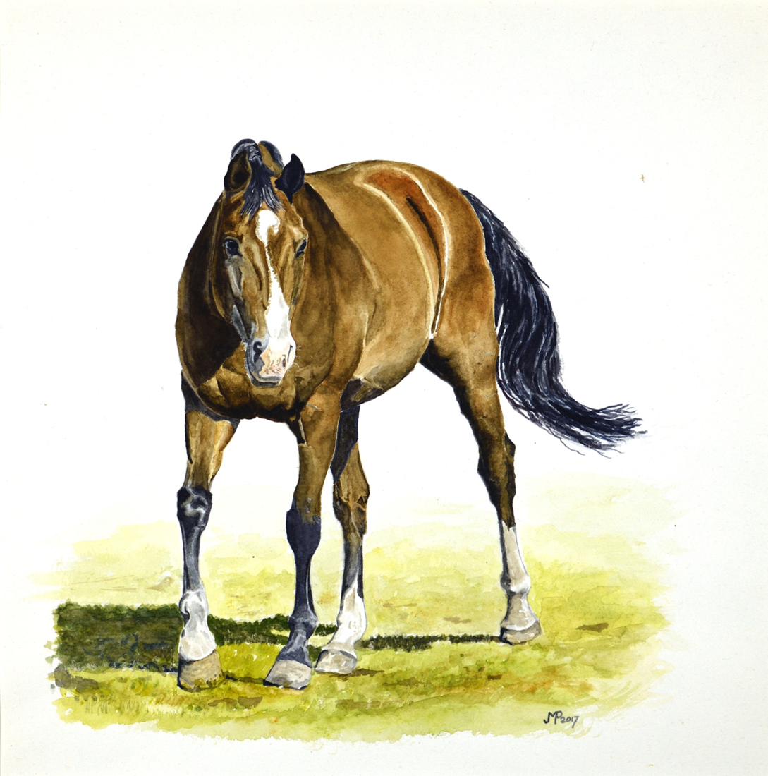 Draaiend paard