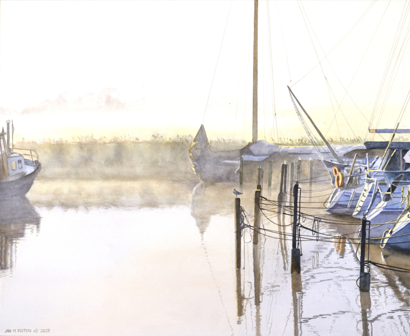 Misty Morning