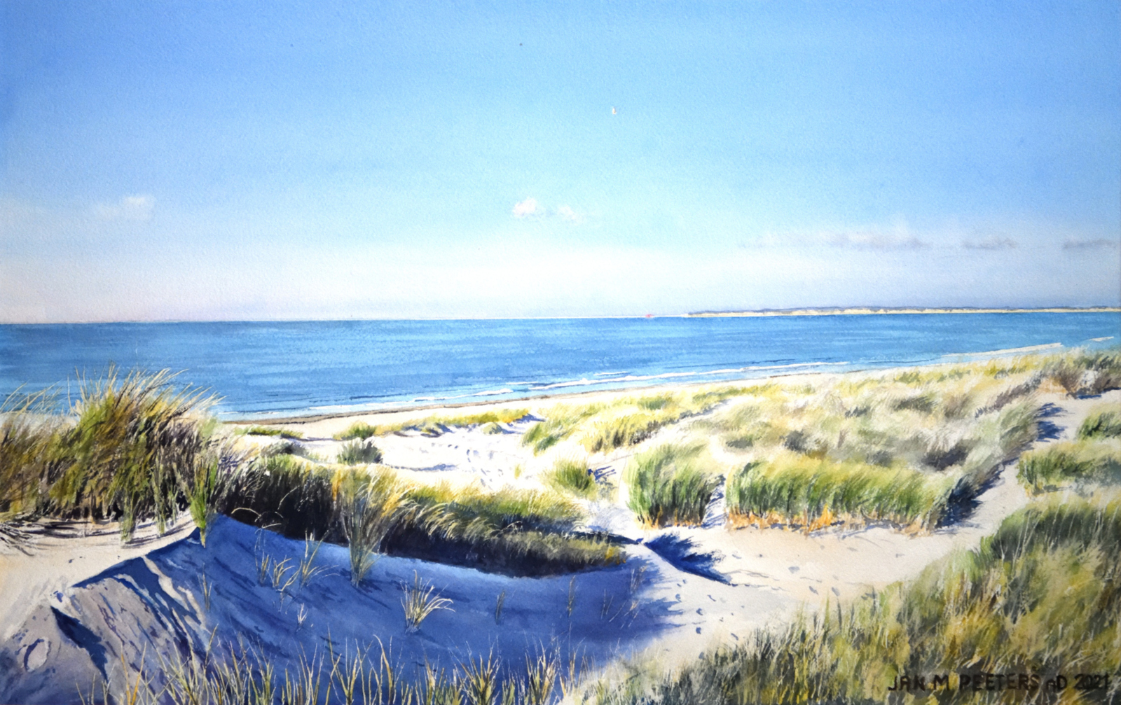 De jonge duinen bij Neeltje Jans