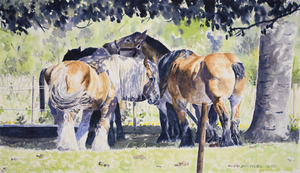 In this group you will see my paintings of horses. 