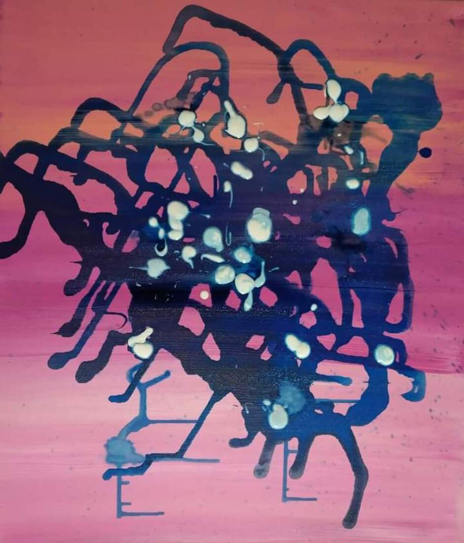 une Araignée d'écoline