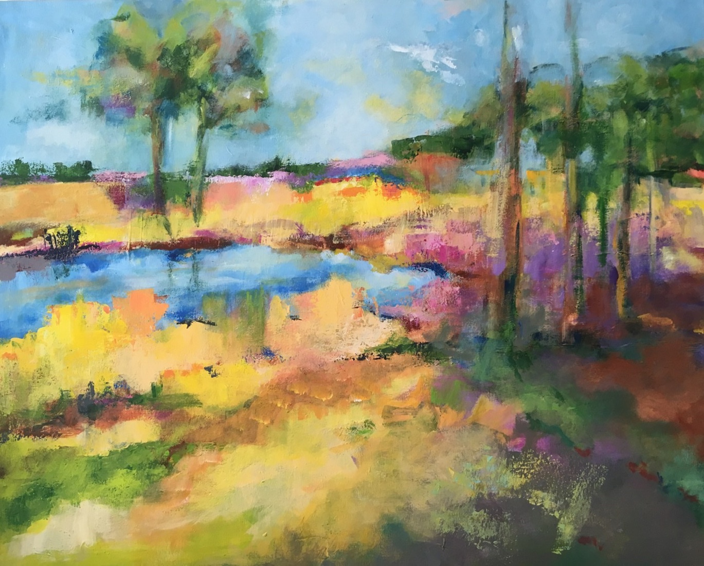 De Maashorst in Brabant. (2)