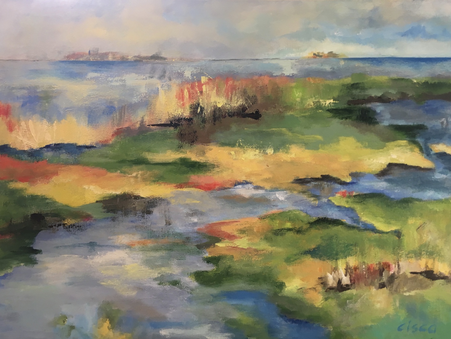 Aan de Maas in Noord-Limburg.