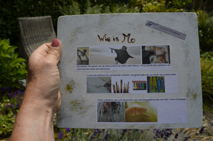 Schilderijen met gemengde techniek