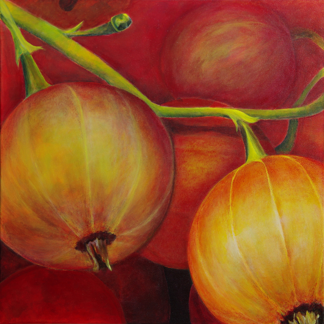 Vruchten zonder meer