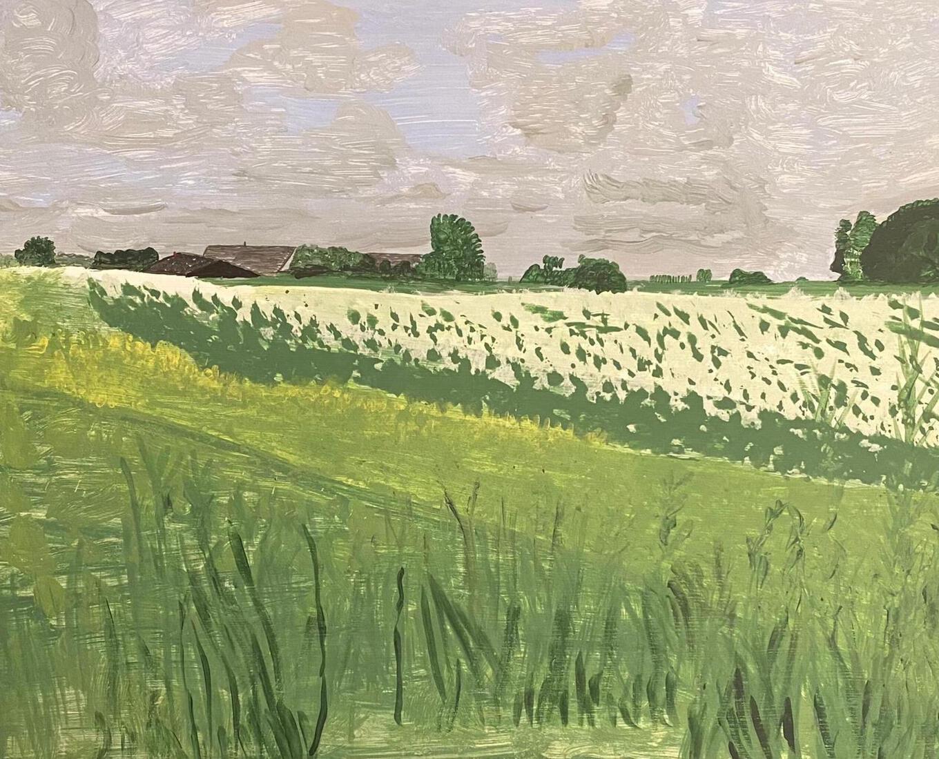 Het Hoge Land 1, Groningen