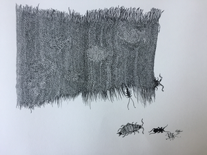 Een verfijnde uitwerking van diverse weefsels en eventuele bewoners