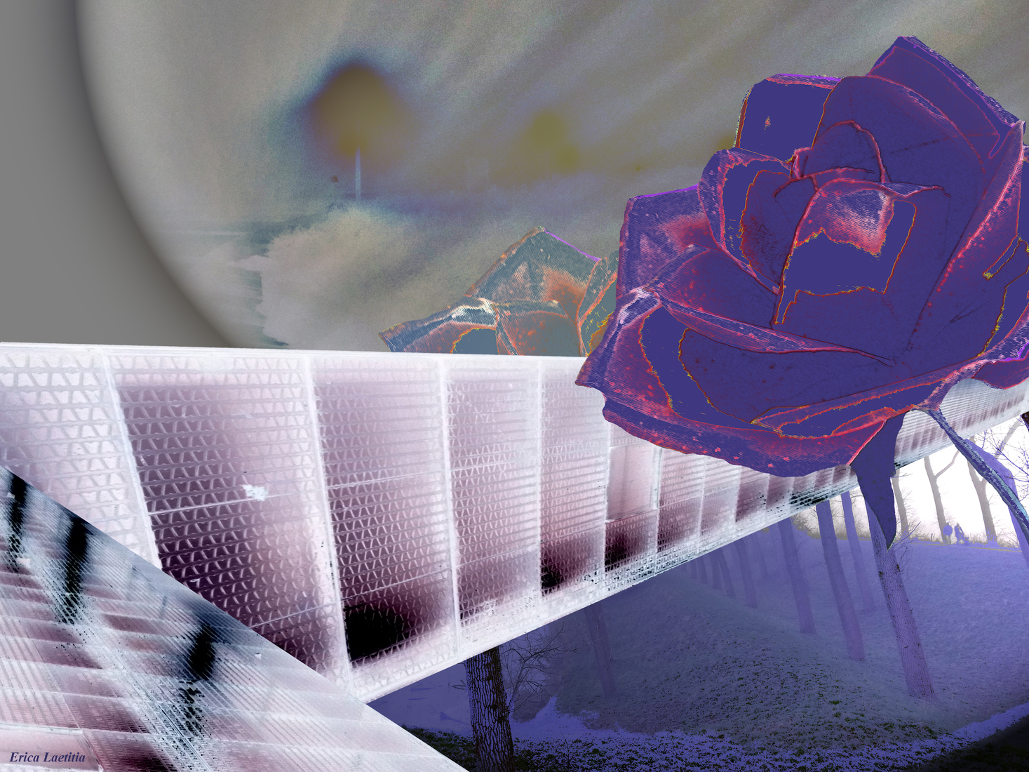 Liefde over Grenzen heen