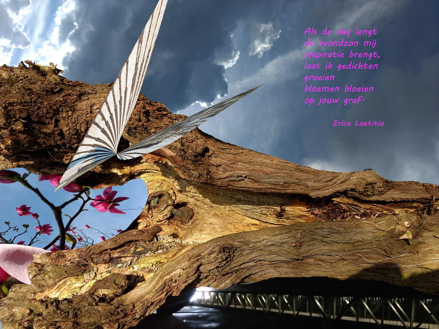 Bloemen op jouw Graf