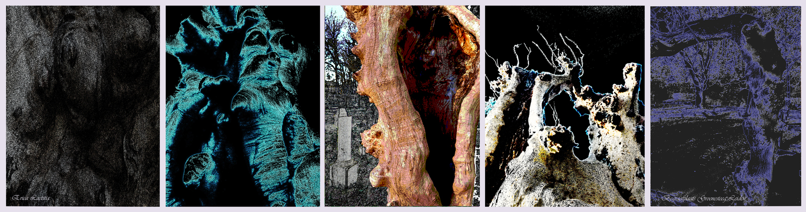 Impressie Begraafplaats Groenesteeg Leiden