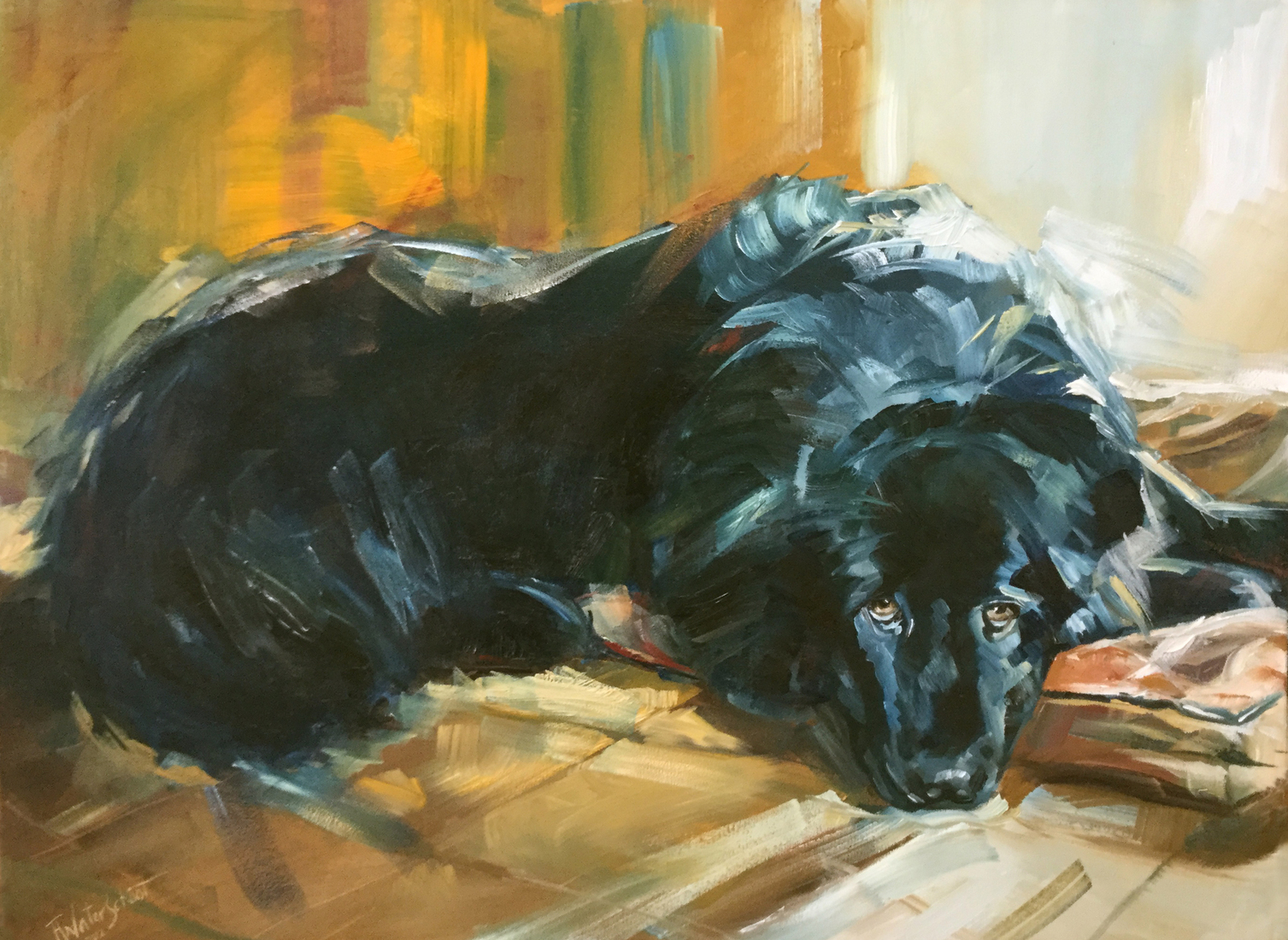 Sienna wating for her walk