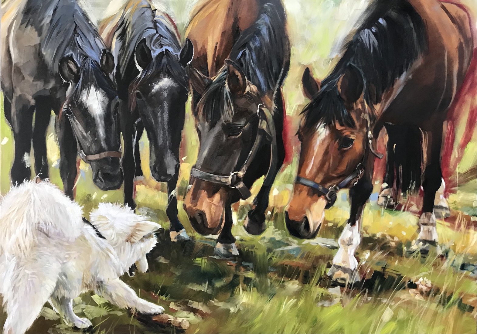 What the heck he’s doing now?