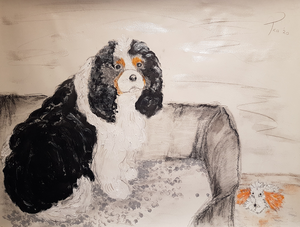 Een van de opdrachten om een huisdier vanaf foto te schilderen