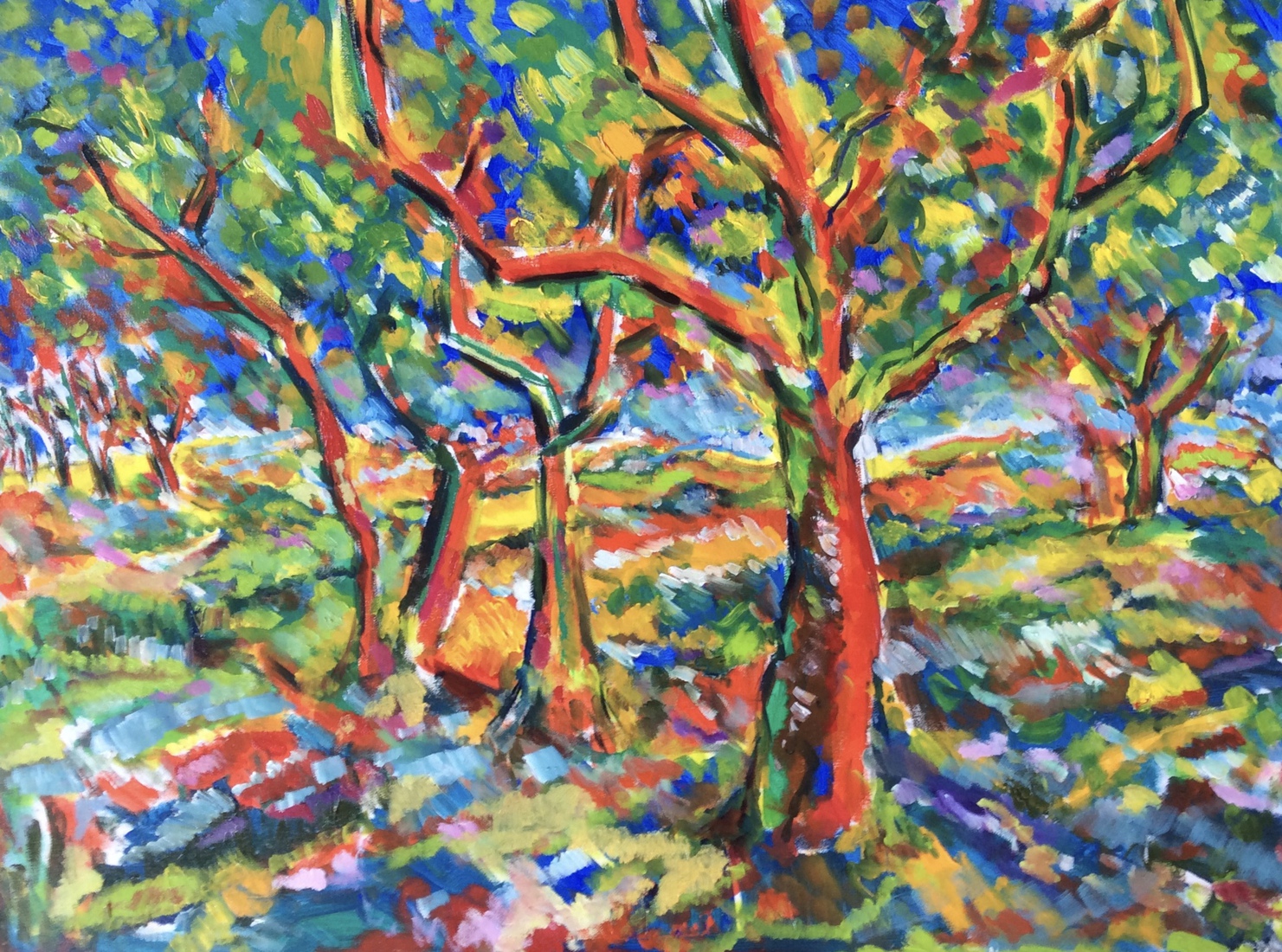 Nouan les Fontaines 1